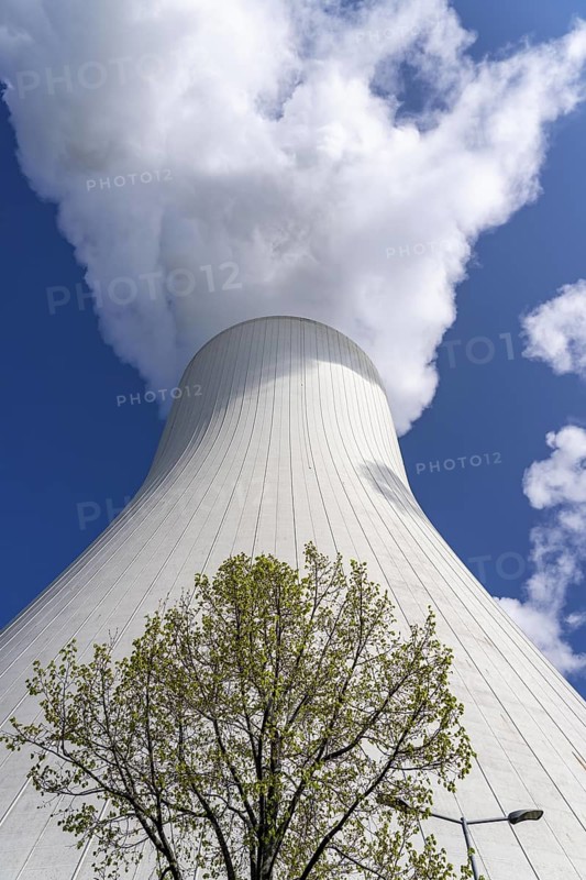Cooling tower of the Duisburg-Walsum coal-fired power plant, combined heat and power plant operated by STEAG and EVN AG, 181 metres high, power plant unit 10, water vapour cloud, tree, Duisburg, North Rhine-Westphalia, Germany