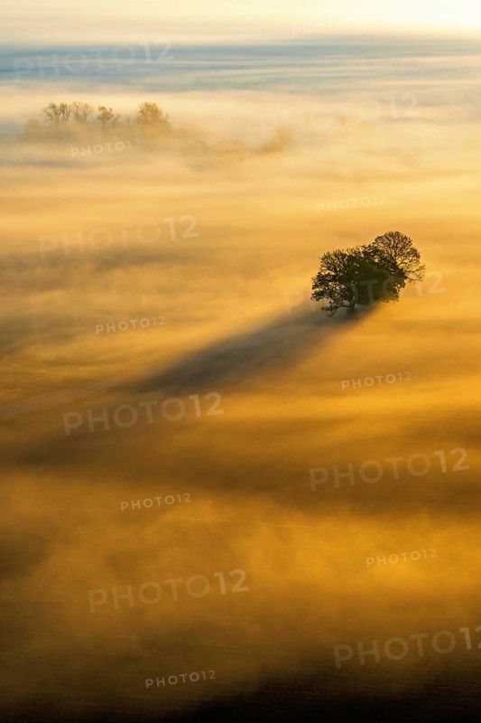 Scenics view at tree crowns sticking up from the morning mist in a rural landscape at sunrise with sun rays and shadows in autumn