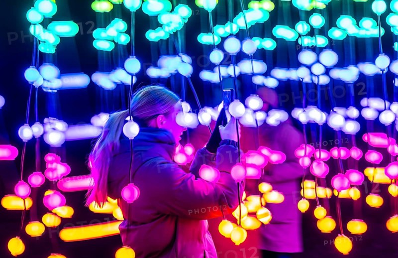 Park lights, winter event, in the Grugapark in Essen, many different light installations, across the park, attract many thousands of visitors, light work of art consisting of many hundreds of hanging ball lamps, LEDs, with changing colors, accessible, North Rhine-Westphalia, Germany