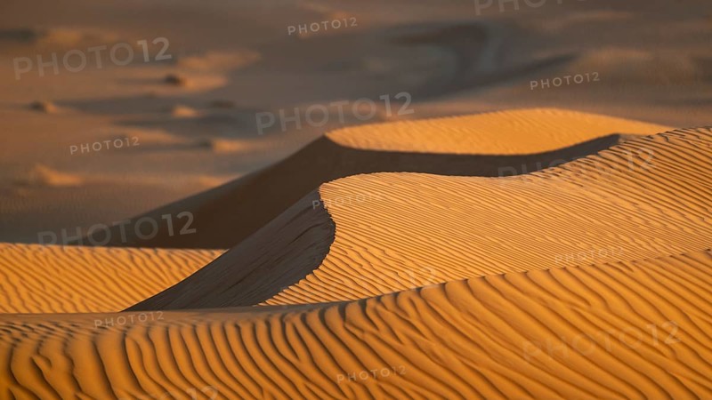 Sand dunes in the Rhub al Khali desert, detailed view, empty quarter, largest sandy desert in the world, Oman