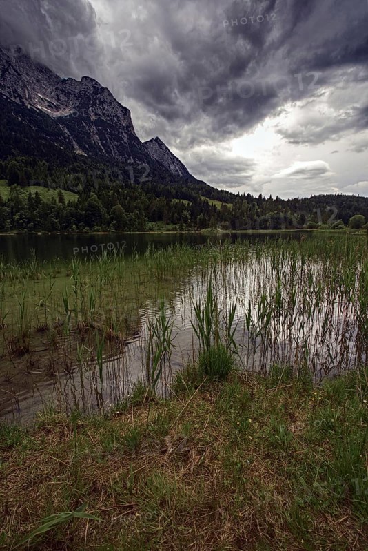 View of a lake with reeds and dramatic clouds over the mountains, Mittenwald, Bavaria, Germany