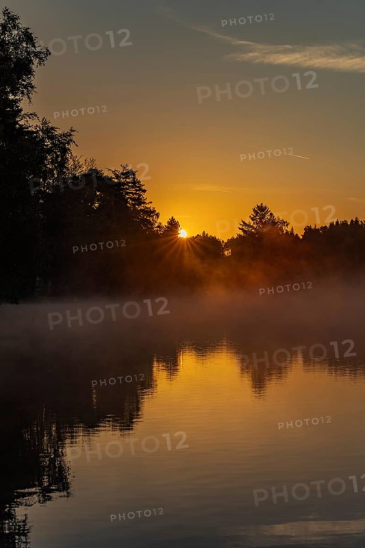 Autumnal morning atmosphere at Schmutter Weiher with fog near Lechbruck, Halblech and Roßhaupten in Allgäu, Bavaria, Germany