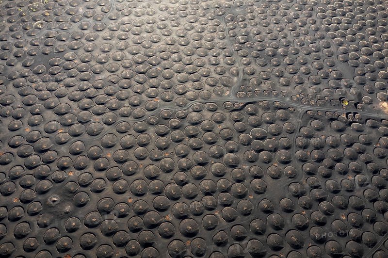 Overhead shot capturing the unique circular patterns of vine cultivation in the volcanic landscapes of La Geria, Lanzarote, showcasing the traditional agrarian process