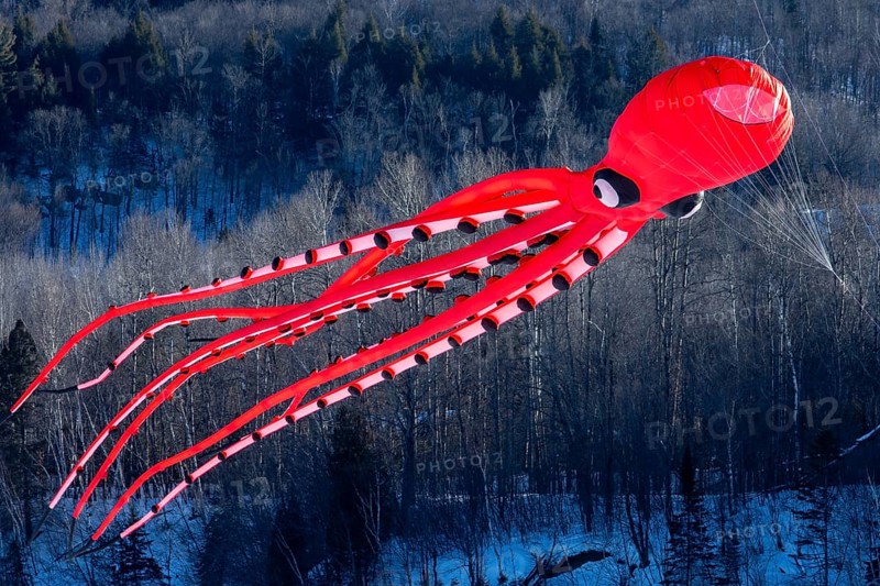 Kite flying over the frozen Saint Mauricie river. Festival Festi-Volant. Canada's biggest winter kite festival. City of Grandes-Piles. Province of Quebec. Canada