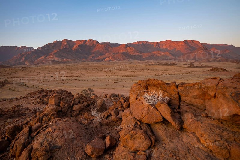 Desert landscape with Brandberg in morning light, at sunrise, Erongo, Damaraland, Namibia
