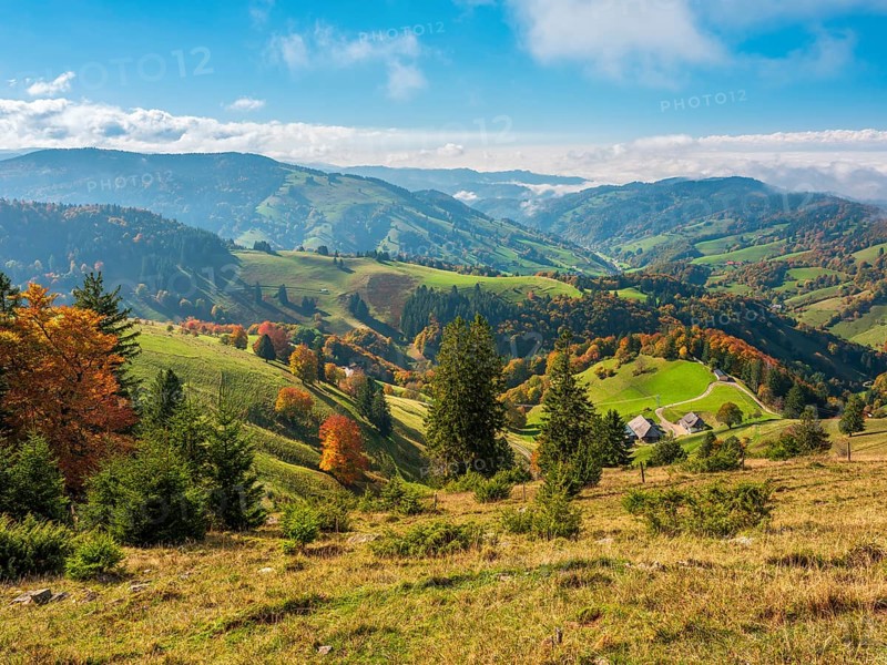 Typical Black Forest landscape with meadows, forests and individual farms in the Schauinsland area, view of the Münstertal and the Rhine plain with sea of fog in autumn, Black Forest, Baden-Württemberg, Germany