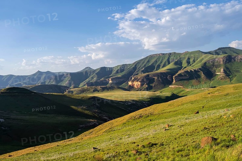 Grassland with sandstone cliffs and cliffs, landscape in Golden Gate Highlands National Park, Free State, South Africa