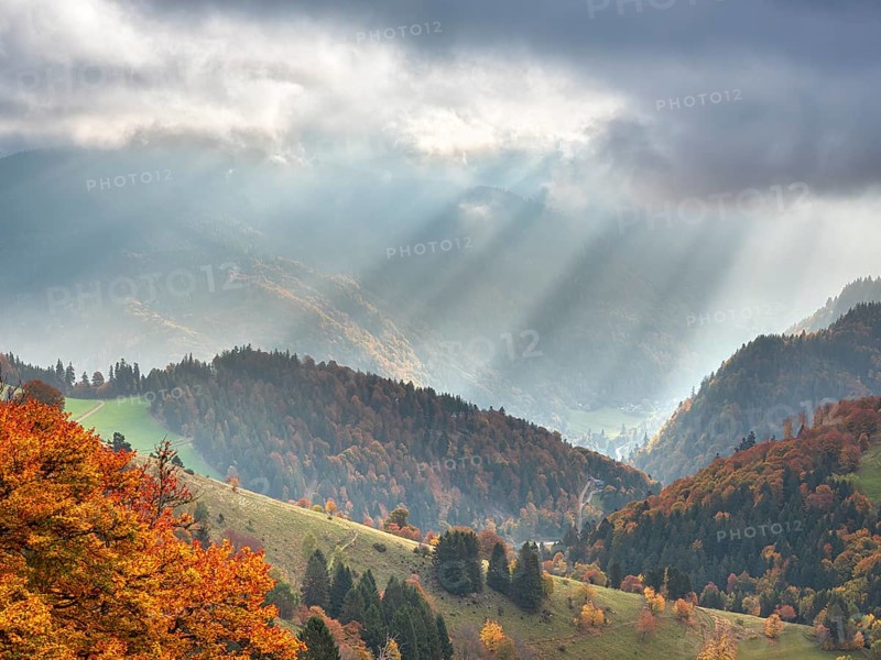 View of typical Black Forest landscape with steep meadows and forests on Schauinsland, trees in full autumn colors, sun rays breaking through the clouds, Black Forest, Baden-Württemberg, Germany