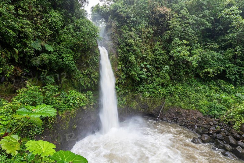 Catarata de la Paz waterfall, Costa Rica, flowing with massive volume after heavy rainfall. Alajuela, Costa Rica