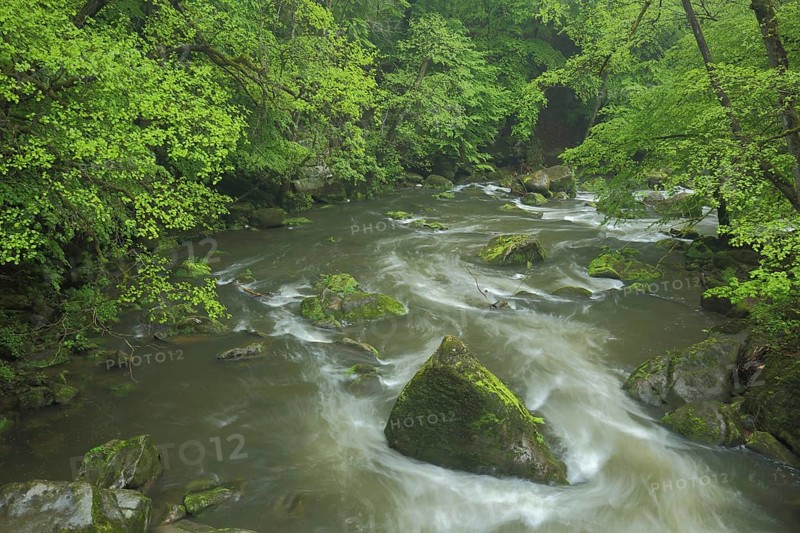Irreler Waterfalls, Prüm, Irrel, Südeifel, Eifel, Rhineland-Palatinate, Germany