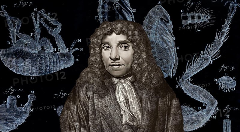 Antonie Philips van Leeuwenhoek, 1632 – 1723, a Dutch microbiologist and microscopist