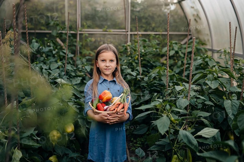 A young girl stands in a lush greenhouse filled with greenery, holding a basket of freshly picked vegetables including peppers and carrots, symbolizing organic farming and health