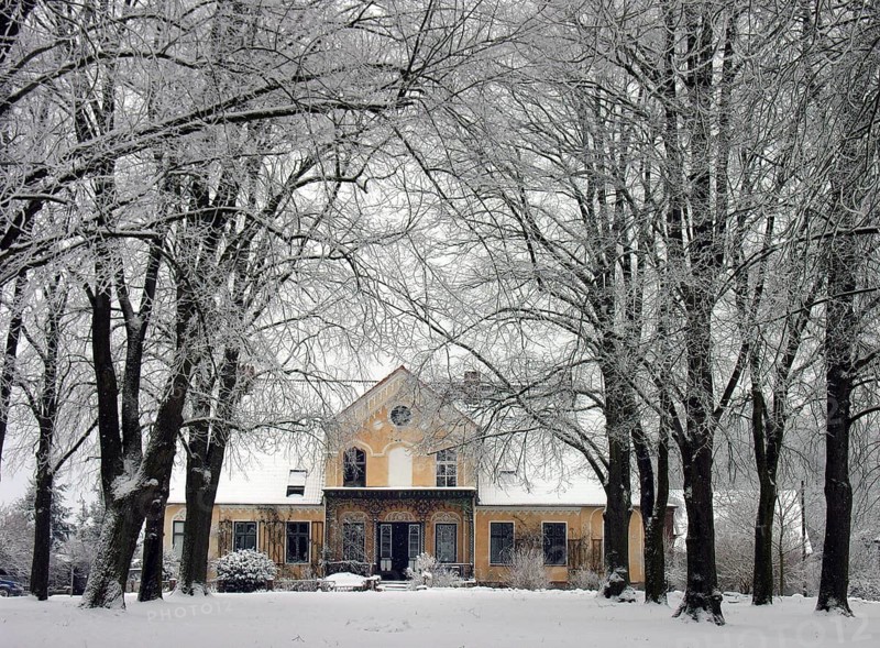 Winter lime tree avenue (Tilia) with an Art Nouveau villa built around 1900, Rögnitz, Mecklenburg-Vorpommern, Germany