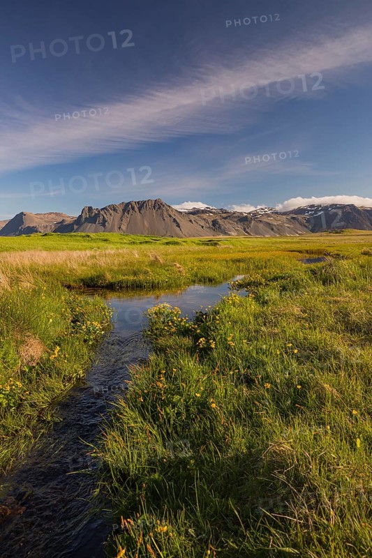 Wet flowering meadow at Ytri Tunga, West Iceland. Sunny day with blue sky and some clouds