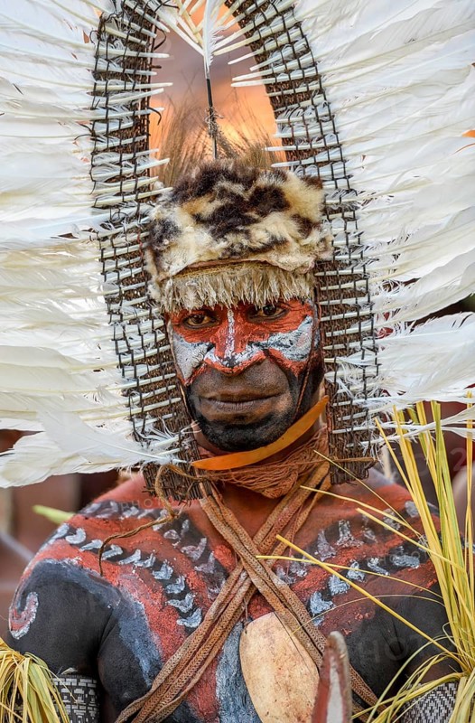 Portrait, warrior with feather decoration and body painting in the village of Upovia, Lake Murray, Western Province, Papua New Guinea