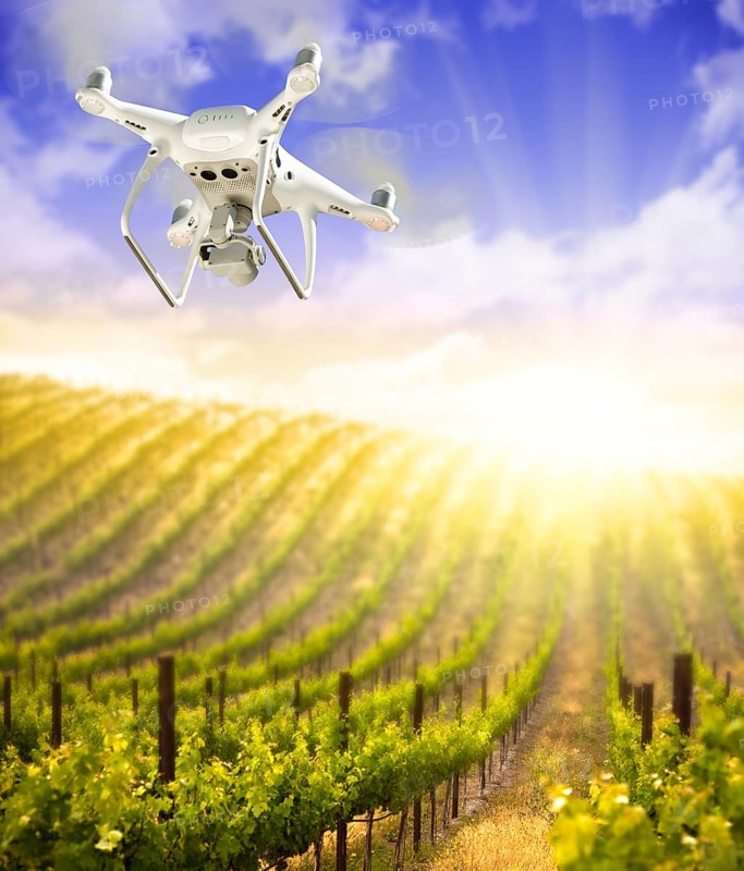Unmanned Aircraft System (UAV) Quadcopter Drone In The Air Over Grape Vineyard Farm