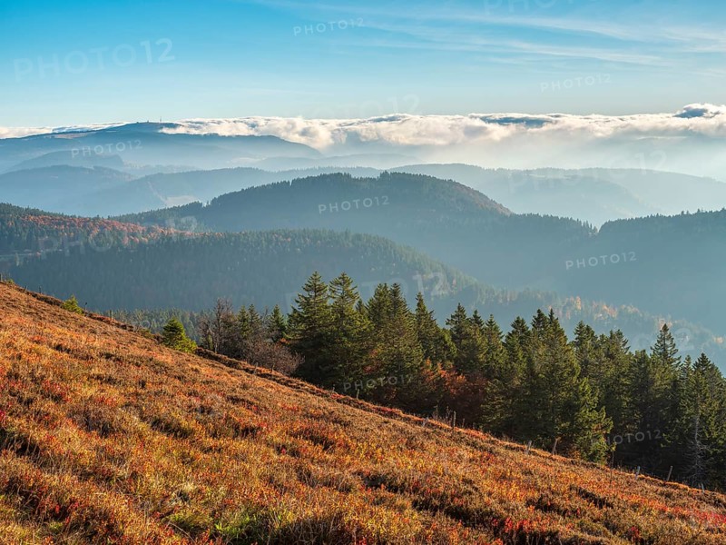 View from the summit of the Belchen (1414m) over the hills of the Black Forest in the morning light, fog in the valley, clouds moving over the mountains, in the background left the Feldberg (1494m), Baden-Württemberg, Germany