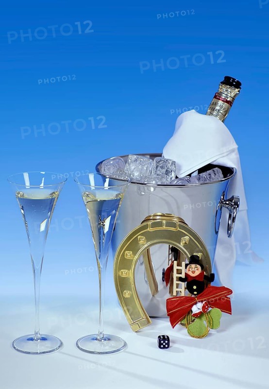 New Year's Eve decoration, Happy New Year, lucky charm, champagne, champagne bucket, sparkling wine, horseshoe, chimney sweep, cloverleaf, Happy New Year, New Year's Eve, lucky charm studio shot, Lower Saxony, Federal Republic of Germany
