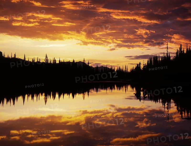 Clouds gather vivid colors at sunrise over Reflection Lake in Mount Rainier National Park, featuring mirrored reflections of silhouetted trees