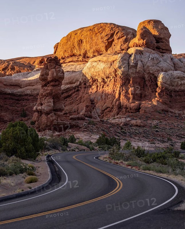 A winding road leads through the iconic red rock formations of Arches national park, illuminated by the soft glow of early evening. Lush greenery contrasts against the rock's rugged texture