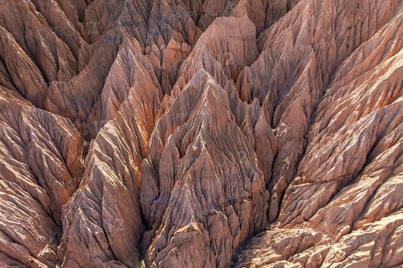 Aerial view of dramatic gully erosion carving deep channels into rugged terrain, showcasing the power of water over time on earthâ€™s surface, creating unique geological formations