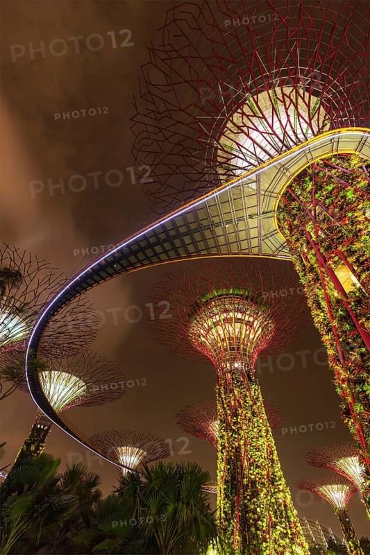 SINGAPORE, DECEMBER 31, 2013: Night view of Supertree Grove at Gardens by the Bay. Futuristic park spans 101 hectares is to become Singapore premier urban outdoor recreation space and national icon