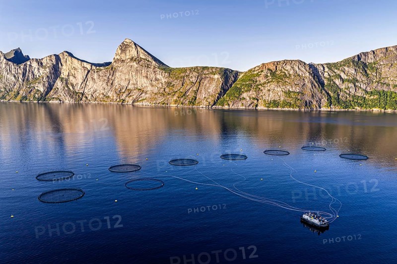 Aerial view of a salmon farm, aquaculture in the Mefjord on Senja island, in the background the peak of famous Segla mountain, Senja, Norway