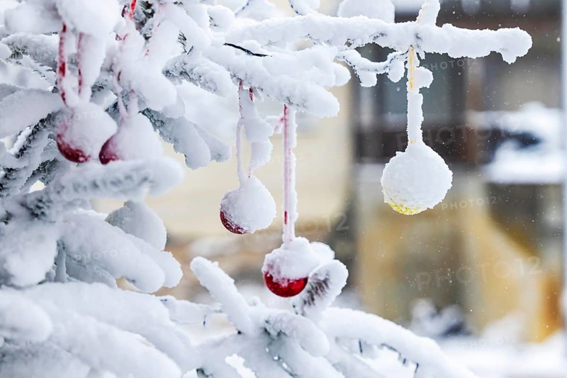 Christmas tree in the snow. The decorative glass balls are covered with hoarfrost. Westerheim, Baden-Württemberg, Germany