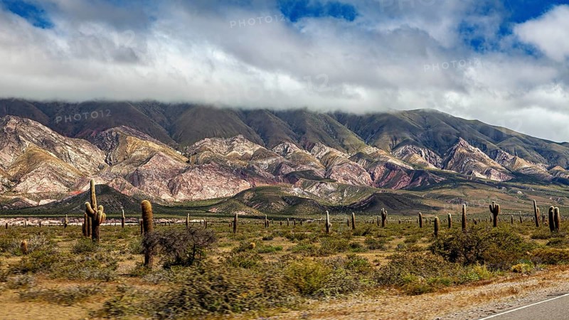 Mountainous desert landscape with cacti and clouds drifting over the peaks, The landscape of the Quebrada with its large cacti near Salta in Argentina, Cardón cactus (Echinopsis atacamensis)