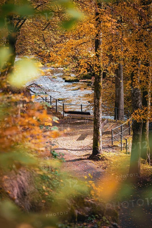 Benches by the river in the spa gardens in autumn, Bad Wildbad, Black Forest, Germany