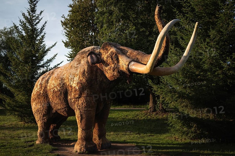LUBIN, POLAND - JULY 13, 2024: Figure of a life-size mammoth in the light of the setting sun