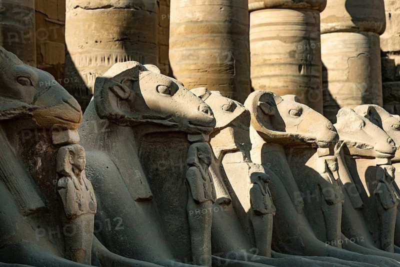 At the entrance to Karnak Temple the Avenue of Sphinxes, statues with the head of a Ram and the body of a Lion, ancient Egyptian icons and symbols to the Gods dating from the 30th Dynasty. Ancient Egyptian archaeology in Luxor, Egypt