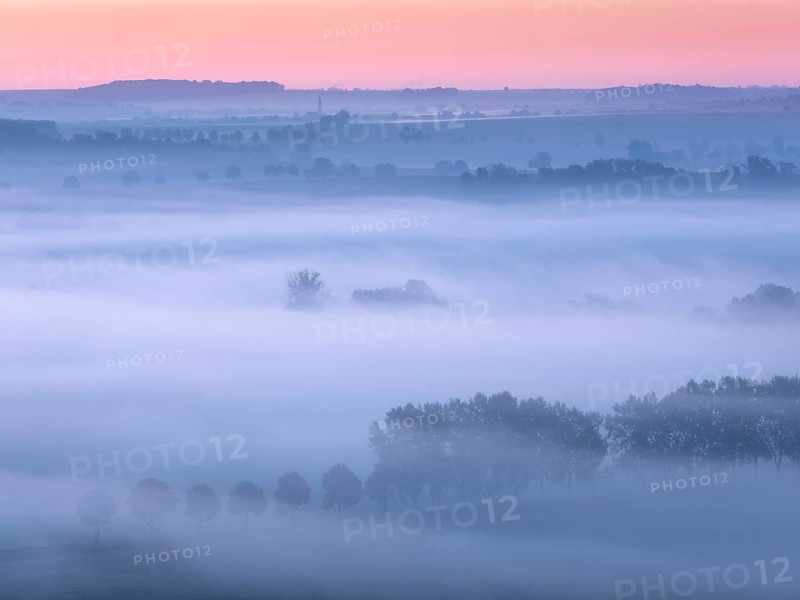 Morning atmosphere in the Saale Valley, fog passes through rows of trees at dawn in autumn, Naumburg, Saxony-Anhalt, Germany