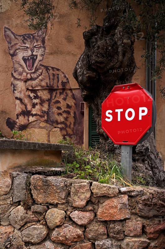 Graffiti cat, house wall, traffic sign, STOP, stop sign, artist village Deià, Tramuntana mountains, Serra de Tramuntana, Majorca, Balearic Islands, Balearic Islands, Spain