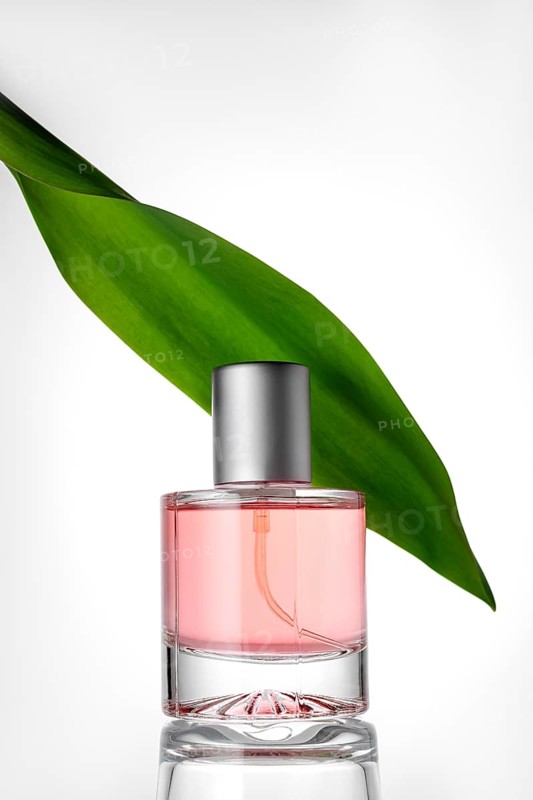 Elegant glass perfume bottle with soft pink liquid, complemented by a vibrant tulip leaf against a neutral background. Ideal for beauty, nature, and aromatherapy themes