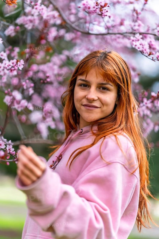 Young woman with long red hair wearing pink hoodie gently touching cherry blossoms on a spring day