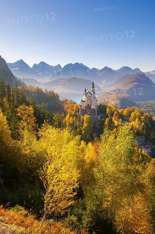 Neuschwanstein Castle in an autumnal landscape with mountains and glowing trees, Schwangau, Ostallgäu, Allgäu, Swabia, Upper Bavaria, Bavaria, Germany