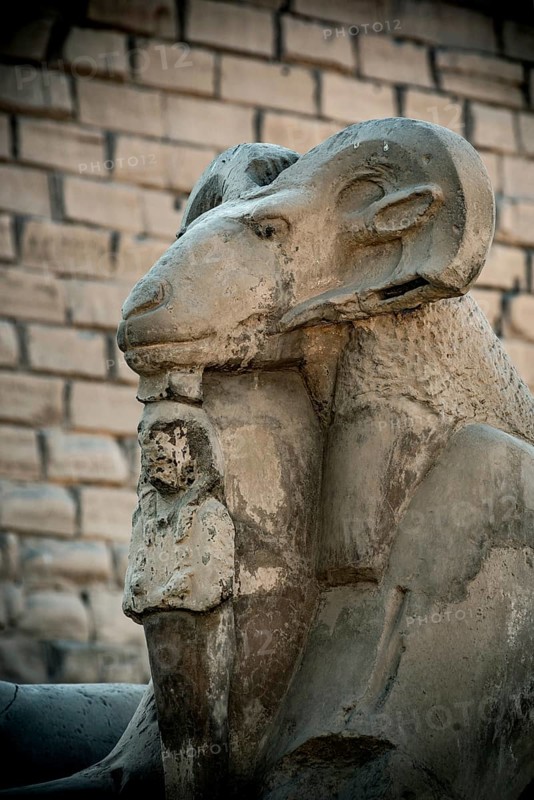 At the entrance to Karnak Temple the Avenue of Sphinxes, statues with the head of a Ram and the body of a Lion, ancient Egyptian icons and symbols to the Gods dating from the 30th Dynasty. Ancient Egyptian archaeology in Luxor, Egypt