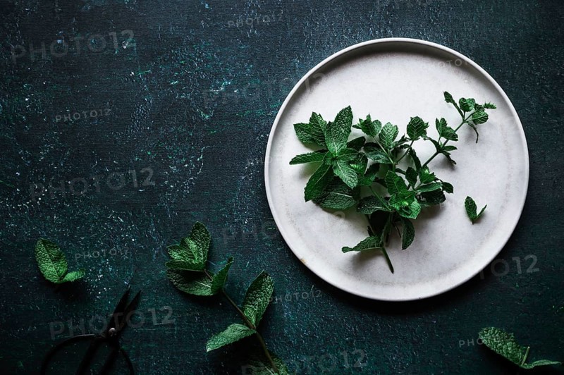 Fresh mint leaves elegantly arranged on a rustic white plate, set against a textured dark background. Perfect as a garnish for a classic gin and tonic cocktail