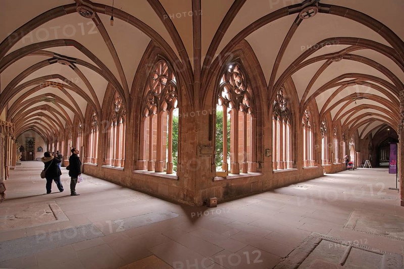 Cloister, Mainzer Dom, Hohe Dom St. Martin, interior view, Mainz, Rhineland-Palatinate, Germany