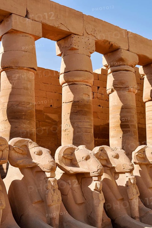 Aries sphinxes in front of the colonnades, Karnak Temple, Luxor, Egypt