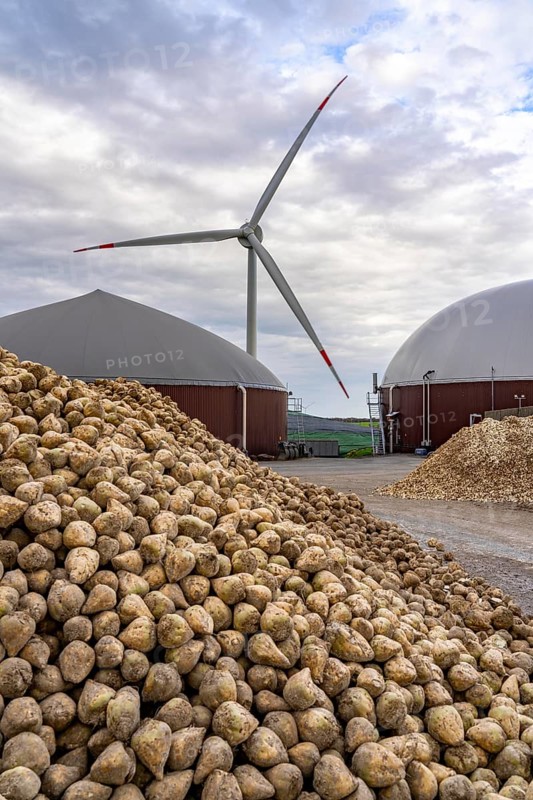 Biogas plant produces gas from various biomass, here the sugar beet storage, the electricity is produced in combined heat and power plants with the biogas produced and sold to companies in the neighbouring industrial estate, the heat generated is fed into a local heating network, gas storage and wind power plant, Ense, North Rhine-Westphalia, Germany