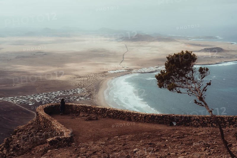 A breathtaking view of Lanzarote, displaying a vast coastal landscape. A solitary tree stands against the scenic horizon, where sand meets azure sea