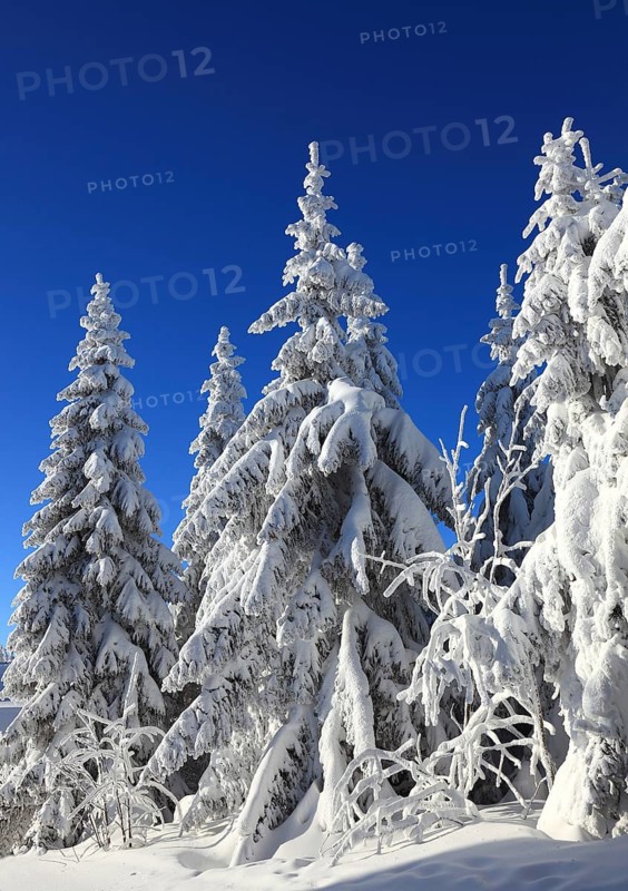 Winter landscape in the Fichtelgebirge, Bayreuth district, Upper Franconia, Bavaria, Germany
