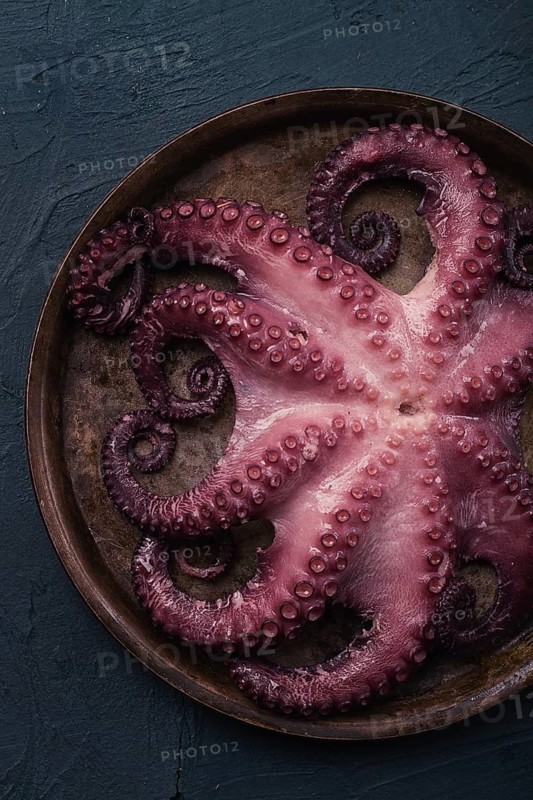 Boiled octopus, close-up, rustic style, no people, top view, close-up