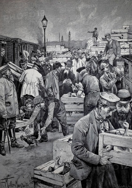 Poultry market at Schlesische Bahnhof in Berlin, 1896, Germany, illustration, reproduction from a model from the 19th century. Authentic, file restored for optimal use, exact date of submission unknown, historical, workers loading boxes in port. There is a hustle and bustle in a historic scene