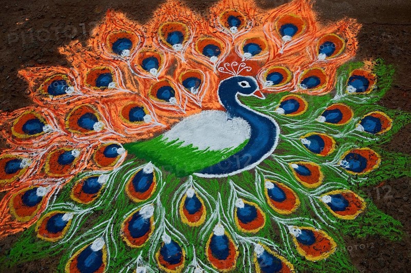 Rangoli depicting a peacock, India. Rangoli is an art form originating from India. Patterns are created on the floor by using powders made of various materials like limestone, red ochre, dry rice flour, coloured sand, flower petals, coloured rocks