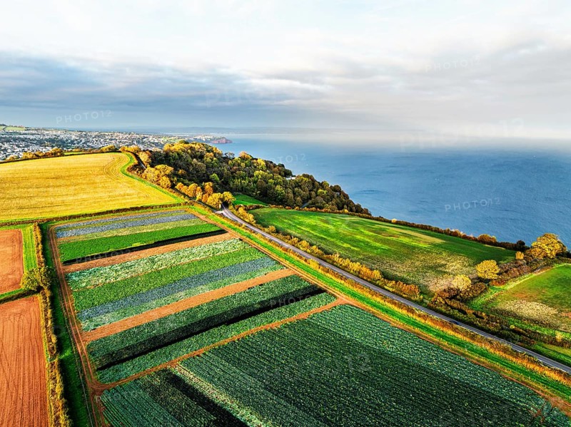 Colours of autumn Fields and Farms over Sheldon from a drone, Torbay, Devon, England, United Kingdom