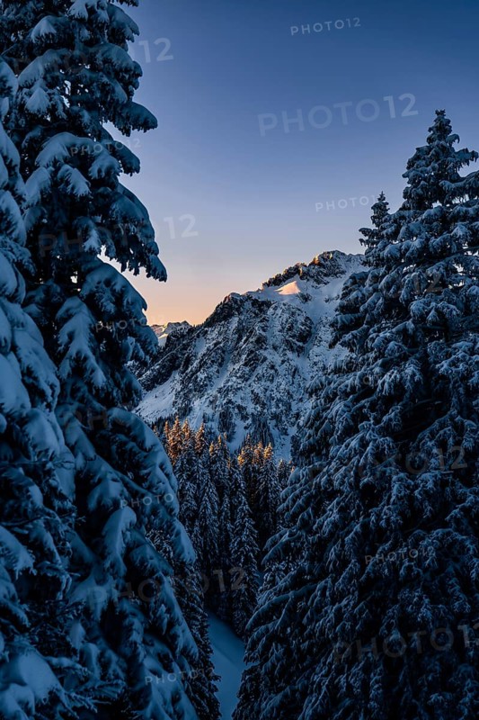 Sunrise snow tour on the Tegelberg in the Allgäu in Bavaria. Winter Wonder Land, Germany