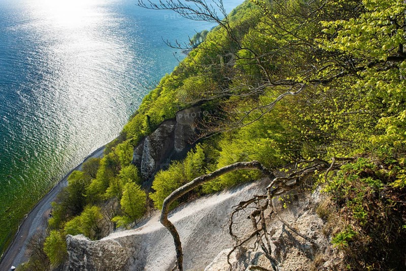 View of chalk cliffs in Jasmund National Park on Rügen, Sassnitz, Rügen, Mecklenburg-Western Pomerania, Germany